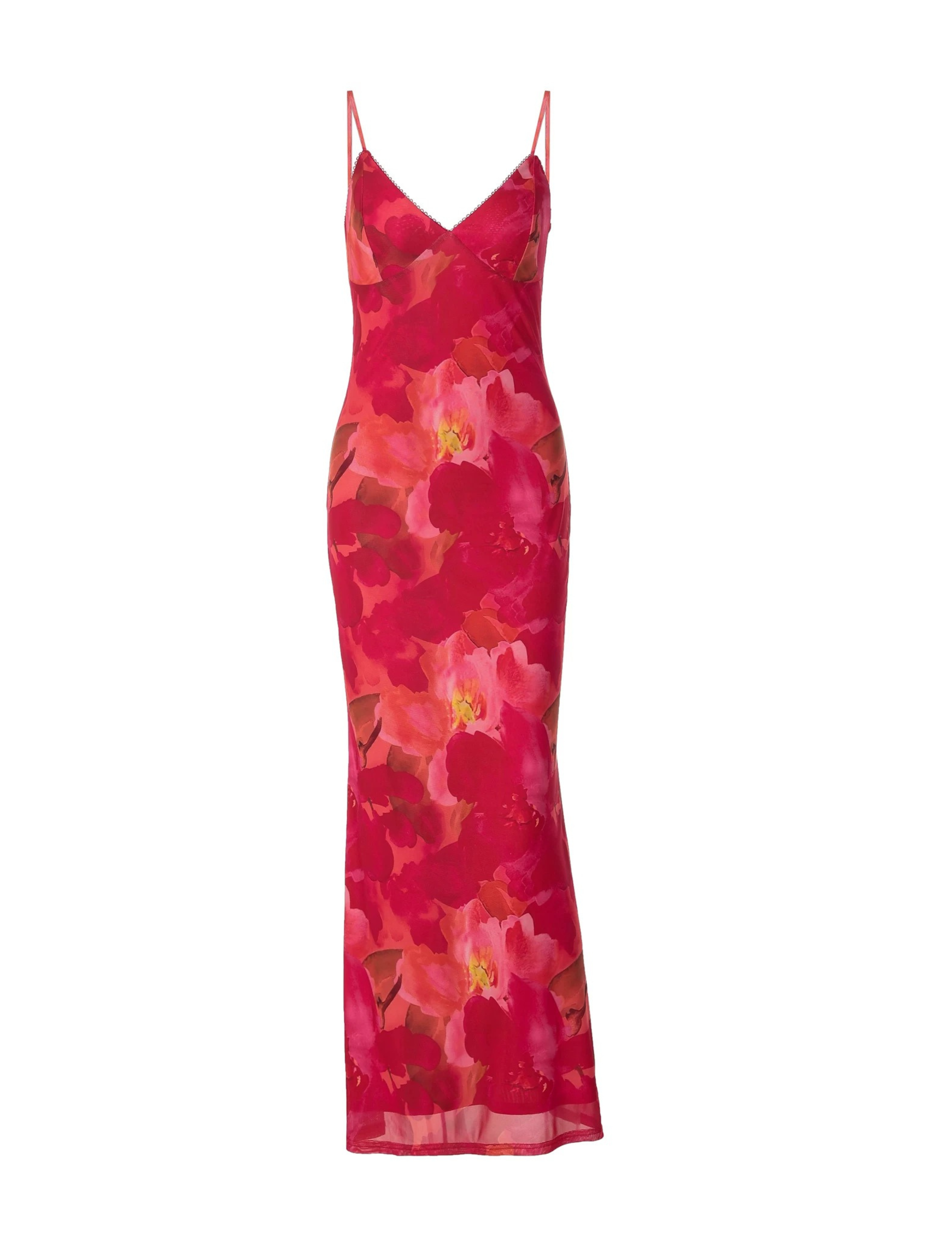 Elysia Floral Sheer Slip Maxi Dress