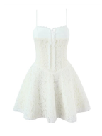 Sarina Lace Mini Dress