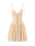 Doria Lace Embroidered Corset Mini Dress