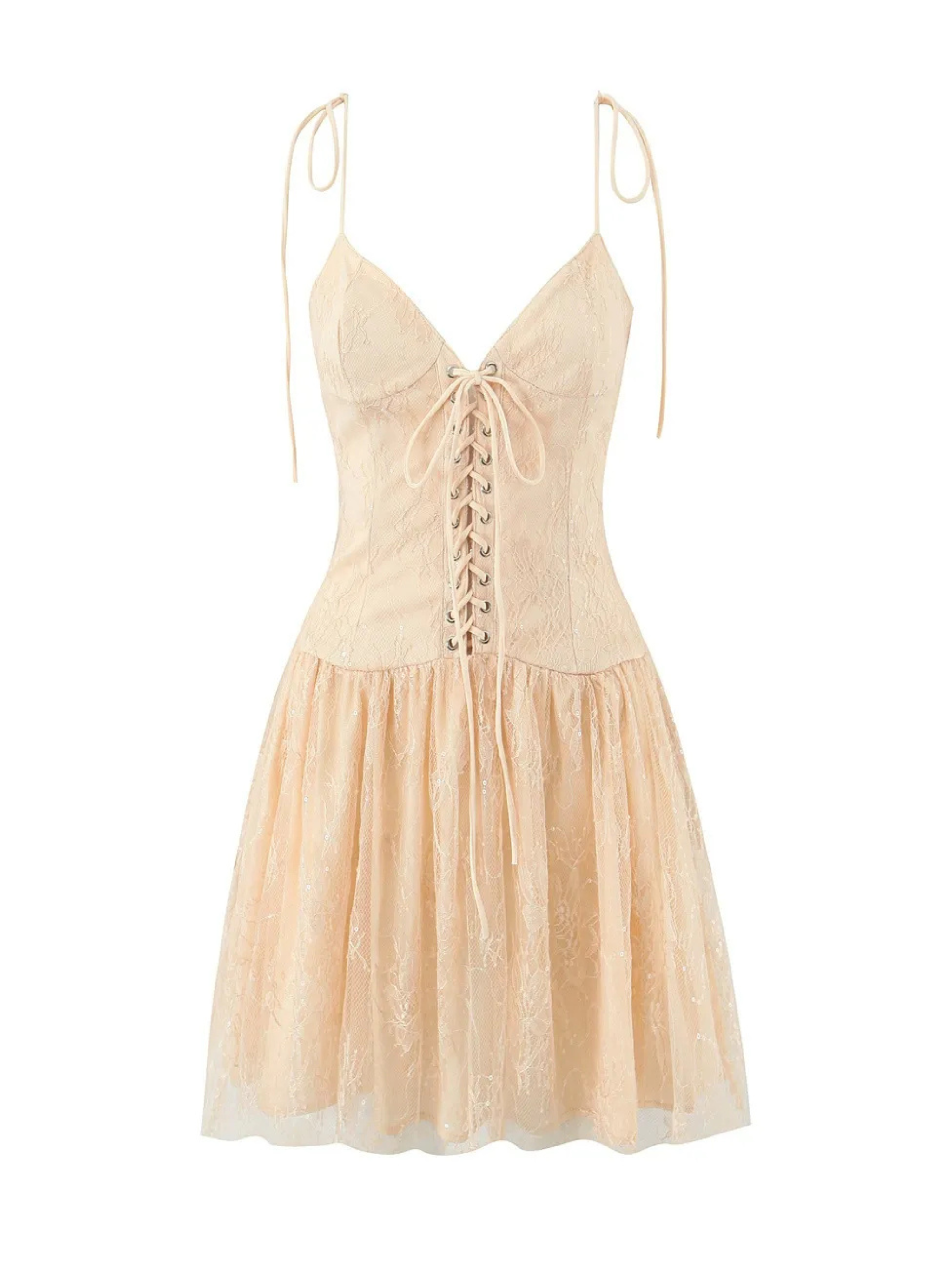 Doria Lace Embroidered Corset Mini Dress