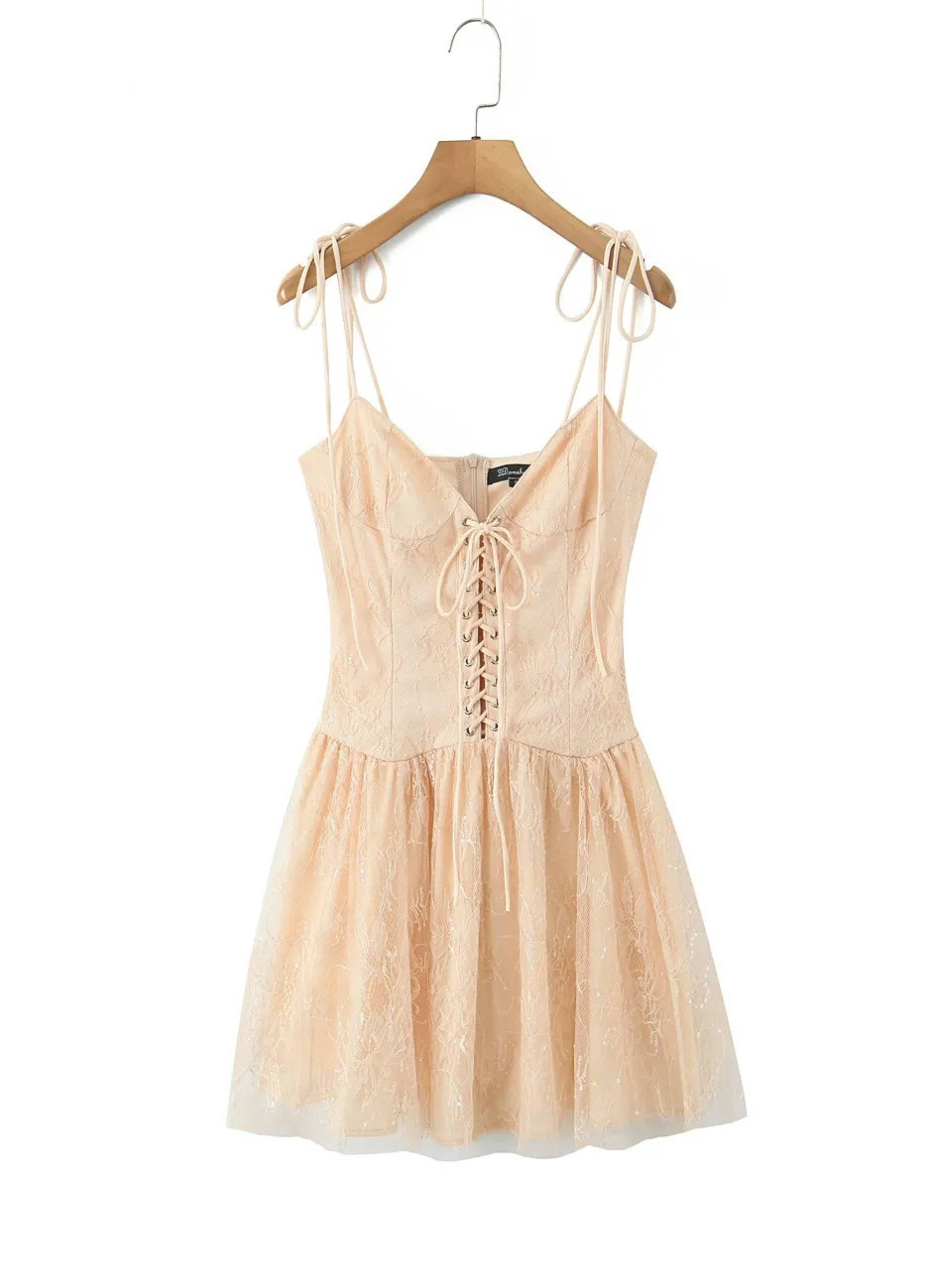Doria Lace Embroidered Corset Mini Dress