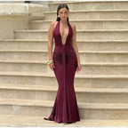 Irina Halter Mesh Maxi Dress