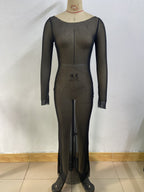 Sheer Mesh Long-Sleeve Maxi Dress
