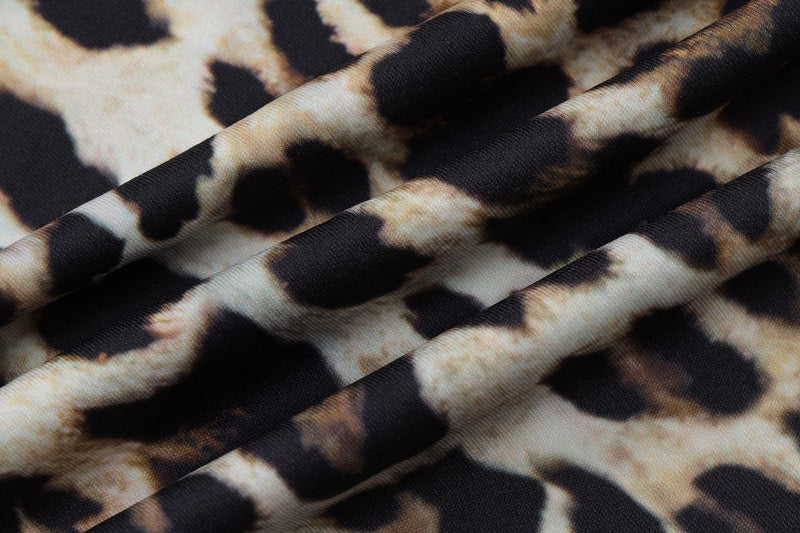 Chloe Leopard Mini Dress